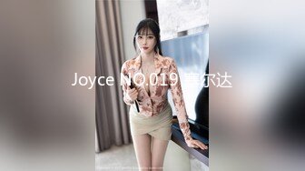 Joyce NO.019 塞尔达