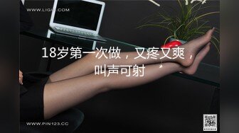 养狗继续