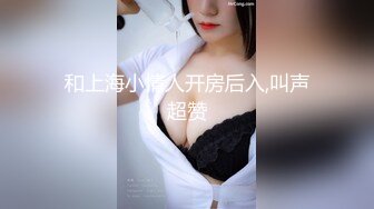 【新片速遞】 商场女厕全景偷拍美女店员的极品美鲍鱼[80M/MP4/00:30]