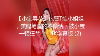 【小宝寻花】包臀T恤小姐姐，美腿笔直的不像话，被小宝一顿狂艹！--4K字幕版 (2)