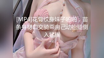 [MP4]花臂纹身妹子啪啪，苗条身材口交骑乘自己动抬腿侧入猛操