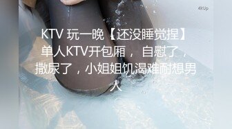 [MP4]麻豆传媒 MDHT-0002《奇淫旅社》单身男女分到一个房间 相互吸引啪啪-梁芸菲