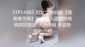 爱之女巫HD720P中英双字