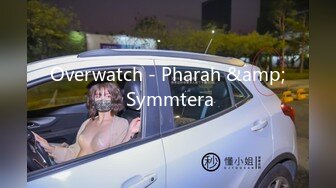 Overwatch - Pharah &amp; Symmtera