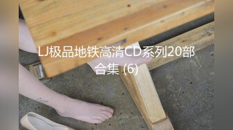 LJ极品地铁高清CD系列20部合集 (6)