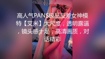 高人气PANS极品反差女神模特【艾米】大尺度，透明露逼，镜头感十足，高清画质，对话精彩