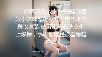 北京女S【航儿】第一视角调教羞辱贱狗倒计时定制视频