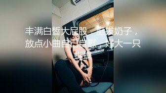 Basssoon高速服务区基情车震被奸