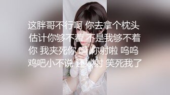 【鸭哥探花】约了个花臂纹身双马尾妹子，沙发上操倒立口交上位骑乘大力猛操