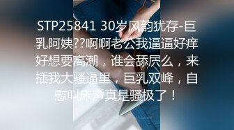 STP25841 30岁风韵犹存-巨乳阿姨??啊啊老公我逼逼好痒好想要高潮，谁会舔屄么，来插我大骚逼里，巨乳双峰，自慰叫床声真是骚极了！