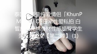 極品空姐制服 自慰棒不過癮，要雞巴內射 國語對白