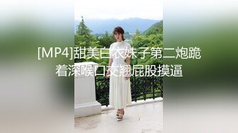 [MP4]甜美白衣妹子第二炮跪着深喉口交翘屁股摸逼