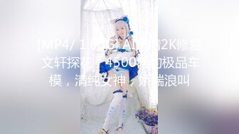 [MP4/80.5G] 【自购精品】【良家人妻偷情着衣做爱系列】158部合集