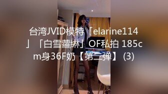 台湾JVID模特「elarine114」「白雪蘿綝」OF私拍 185cm身36F奶【第二弹】 (3)