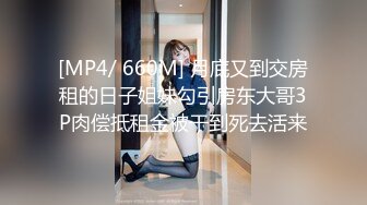 后入高跟丝袜少妇