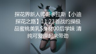 ✿网红女神✿ 最新超人气爆乳貌美少女▌小桃酱▌