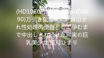 《精品❤️泄密》东北大连夫妻反差骚母狗ZHEN情趣制服调教啪啪啪不雅自拍视图11V和1+29P