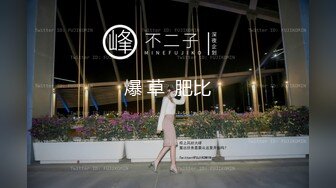 4月新流出极品厕拍私藏系列夜总会KTV女厕正面全景高颜值第2期期有好几个JK 汉服妹妹