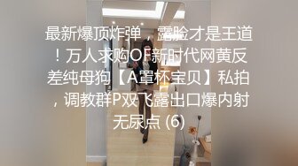 《淑女》无马漂亮女子在自己家和刚交的男友啪