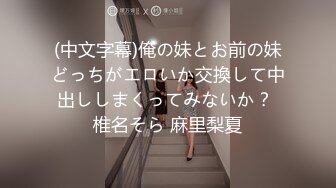 (中文字幕)俺の妹とお前の妹どっちがエロいか交換して中出ししまくってみないか？ 椎名そら 麻里梨夏