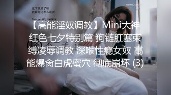 【高能淫奴调教】Mini大神 红色七夕特别篇 狗链肛塞束缚凌辱调教 深喉性瘾女奴 高能爆肏白虎蜜穴 彻底崩坏 (3)