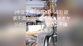 精东影业 JDXYX-004 线下哟啪性感丰满女仆 長谷川