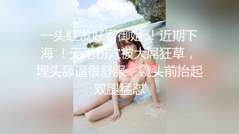 中文字幕av人妻孕妇一区二区