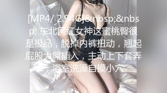 新入社员欢迎会3P ～夜袭3P～