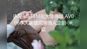 [MP4/558MB]大像傳媒 AV0066 大象號完美情人企劃-米歐