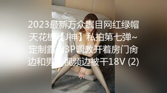 大型商场女厕全景偷窥15位美女少妇的各种美鲍 (7)