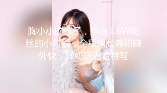 [MP4]麻豆传媒-菜鸟特务 入侵者的反姦凌辱-袁子仪