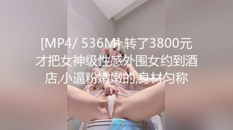 [MP4/ 536M] 转了3800元才把女神级性感外围女约到酒店,小逼粉嫩嫩的,身材匀称