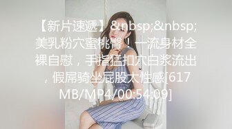 Nicolovecc六七自购回血精品美图视频高端集合[203P+7V/1.1G]