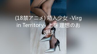 (18禁アニメ) 箱入少女 -Virgin Territory- 上巻 理想のお嬢様